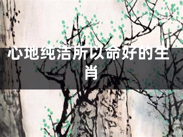 心地纯洁所以命好的生肖