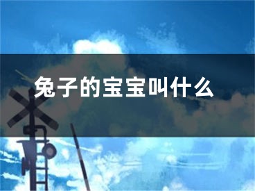兔子的宝宝叫什么