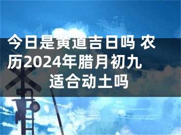 今日是黄道吉日吗 农历2024年腊月初九适合动土吗