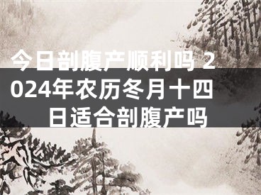 今日剖腹产顺利吗 2024年农历冬月十四日适合剖腹产吗