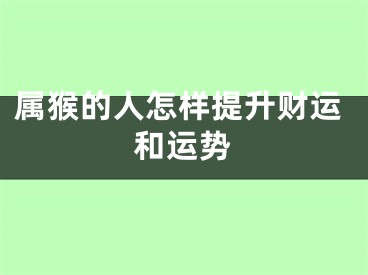 属猴的人怎样提升财运和运势