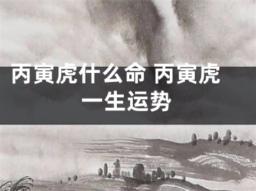 丙寅虎什么命 丙寅虎一生运势