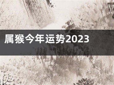 属猴今年运势2023