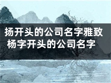 扬开头的公司名字雅致 杨字开头的公司名字