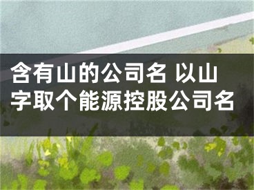 含有山的公司名 以山字取个能源控股公司名