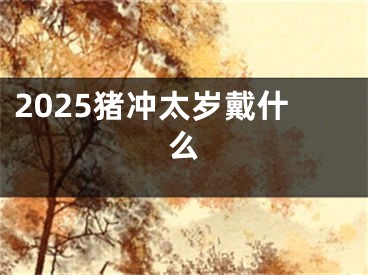 2025猪冲太岁戴什么