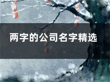 两字的公司名字精选