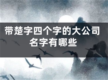 带楚字四个字的大公司名字有哪些