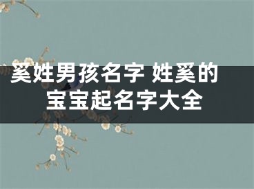 奚姓男孩名字 姓奚的宝宝起名字大全