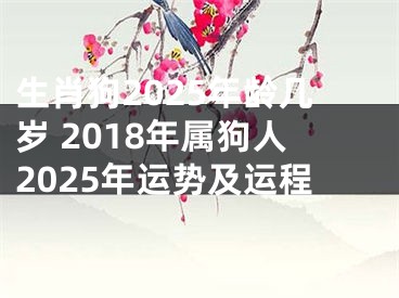 生肖狗2025年龄几岁 2018年属狗人2025年运势及运程
