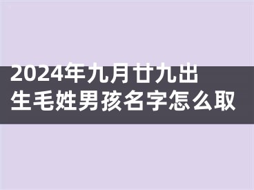 2024年九月廿九出生毛姓男孩名字怎么取