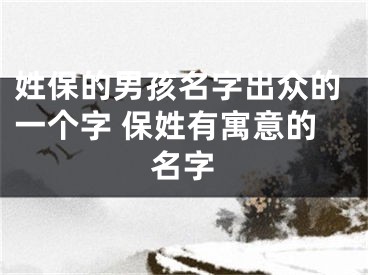 姓保的男孩名字出众的一个字 保姓有寓意的名字