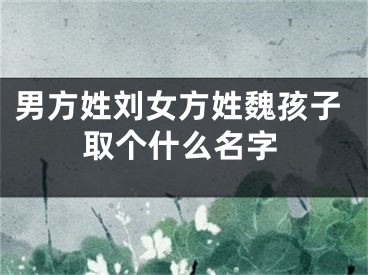 男方姓刘女方姓魏孩子取个什么名字