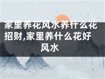 家里养花风水养什么花招财,家里养什么花好 风水