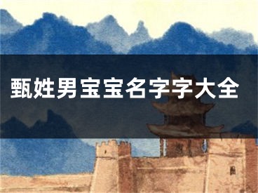 甄姓男宝宝名字字大全