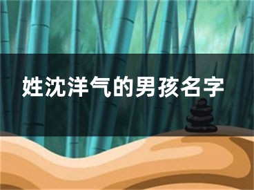 姓沈洋气的男孩名字