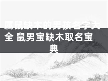 属鼠缺木的男孩名字大全 鼠男宝缺木取名宝典
