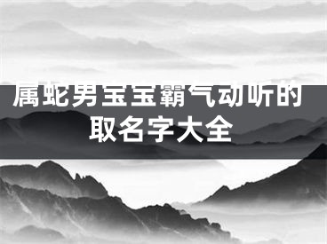 属蛇男宝宝霸气动听的取名字大全