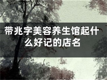 带兆字美容养生馆起什么好记的店名