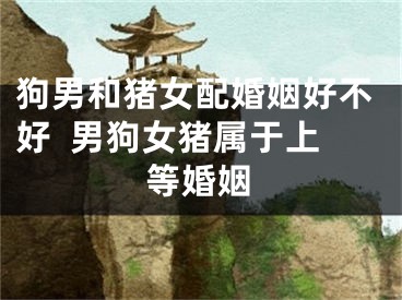 狗男和猪女配婚姻好不好  男狗女猪属于上等婚姻