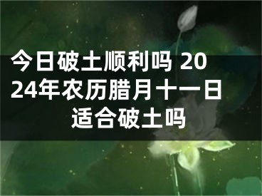 今日破土顺利吗 2024年农历腊月十一日适合破土吗