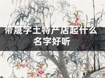 带晟字土特产店起什么名字好听
