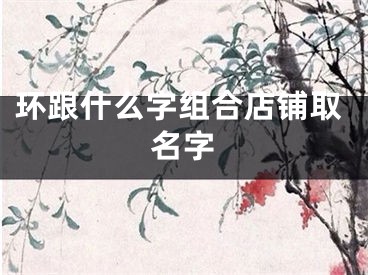 环跟什么字组合店铺取名字
