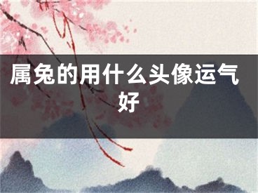 属兔的用什么头像运气好