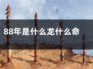 88年是什么龙什么命