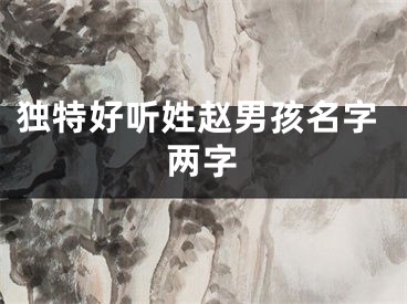 独特好听姓赵男孩名字两字