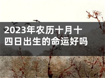 2023年农历十月十四日出生的命运好吗 
