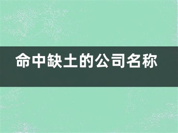 命中缺土的公司名称