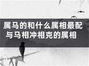 属马的和什么属相最配 与马相冲相克的属相