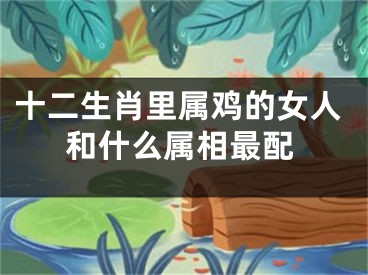 十二生肖里属鸡的女人和什么属相最配