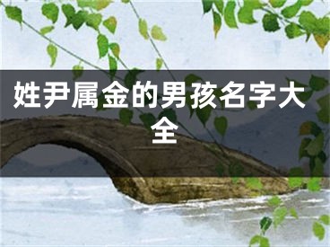姓尹属金的男孩名字大全