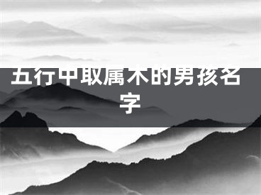 五行中取属木的男孩名字