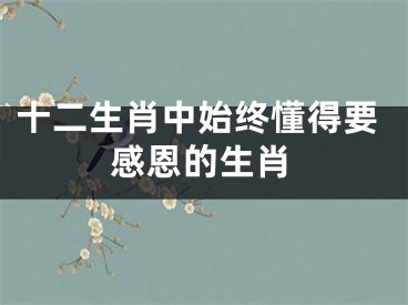 十二生肖中始终懂得要感恩的生肖