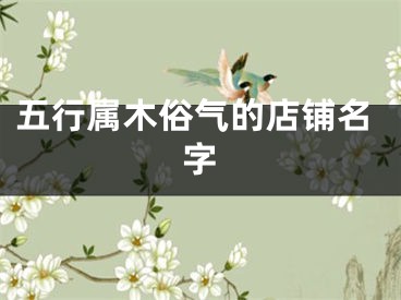 五行属木俗气的店铺名字