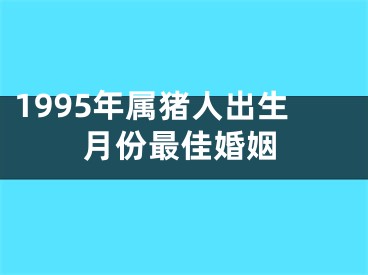 1995年属猪人出生月份最佳婚姻