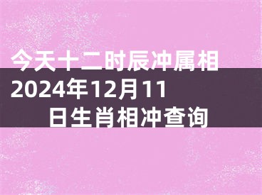 今天十二时辰冲属相 2024年12月11日生肖相冲查询