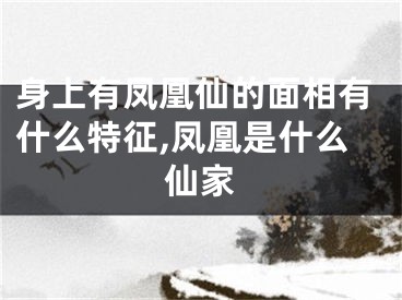 身上有凤凰仙的面相有什么特征,凤凰是什么仙家