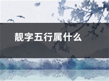 靓字五行属什么 