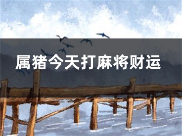 属猪今天打麻将财运