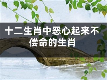 十二生肖中恶心起来不偿命的生肖
