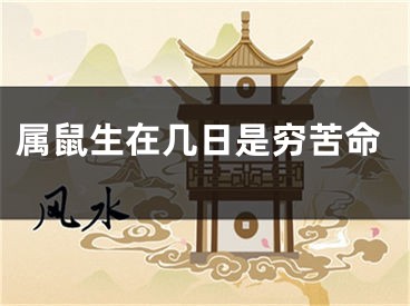 属鼠生在几日是穷苦命