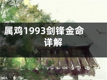 属鸡1993剑锋金命详解