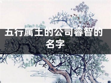 五行属土的公司睿智的名字