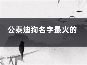 公泰迪狗名字最火的