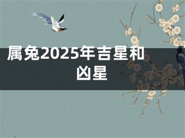 属兔2025年吉星和凶星