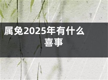 属兔2025年有什么喜事